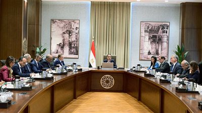 رئيس الوزراء يتابع موقف تنفيذ مشروعات الطاقة المُتجددة وربطها على الشبكة القومية للكهرباء