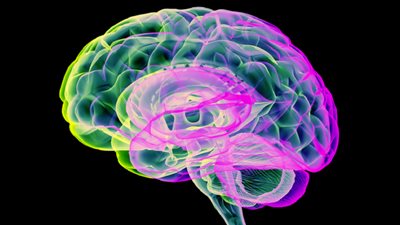 اكتشاف سبب جديد للتدهور المعرفي وتلف الدماغ