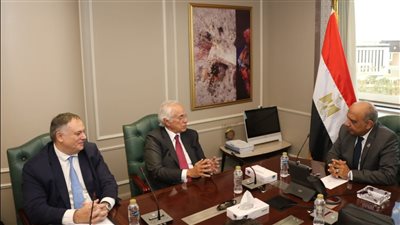 وزير الكهرباء يبحث مع رئيس مجموعة 