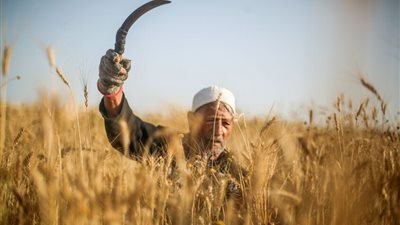 مصر تعلن تنفيذ مشروع ضخم لتأمين البلاد.. ما القصة؟