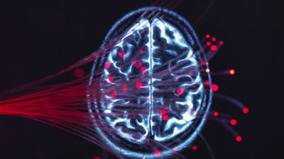 ابتكار جديد.. قراءة الأفكار البشرية عبر مسح نشاط الدماغ