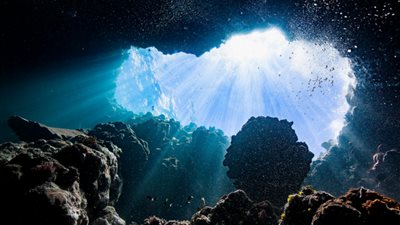 اكتشاف كائن حي مرعب في أعماق المحيط الجنوبي