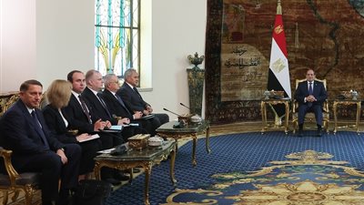 شويغو يثمن موقف السيسي 