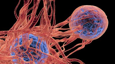 فيروس شائع يتسلل إلى الحمض النووي ويحفز السرطان مباشرة