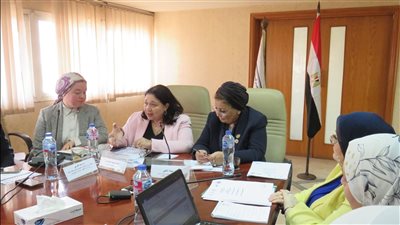 نائبة وزيرة التضامن الاجتماعي ونائبة وزير الصحة يتابعان الموقف التنفيذي للمشروع القومي لتنمية الأسرة المصرية