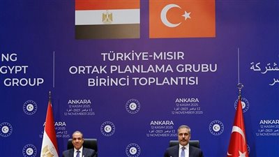 القاهرة وأنقرة تبحثان مشروع 