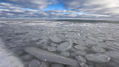 اكتشاف حياة 