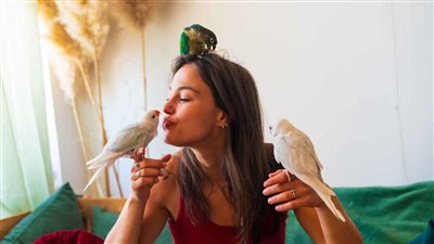 كيف تساعد أصوات الطيور على تحسين الحالة النفسية؟