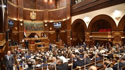 اقتراح برلماني بتعديل اللائحة الداخلية لمجلس الشيوخ