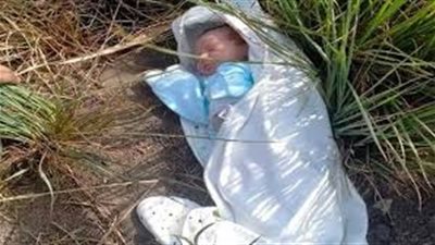 العثور على رضيع  داخل الزراعات بطريق نقادة فى قنا