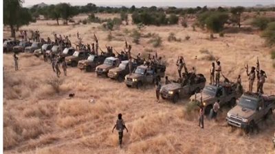 الخارجية السودانية: قمة دول البحيرات العظمى أيدت توصية بتصنيف الدعم السريع 