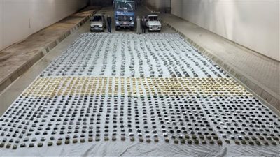 ضبط كمية من مخدرى الهيدرو والحشيش بـ150 مليون جنيه