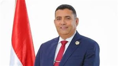 مدكور: توجيهات الرئيس السيسي تعزز نزاهة الانتخابات واحترام إرادة المواطنين