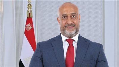 حسام سعيد: توجيهات الرئيس تعزز نزاهة الانتخابات وتحمي إرادة الناخبين