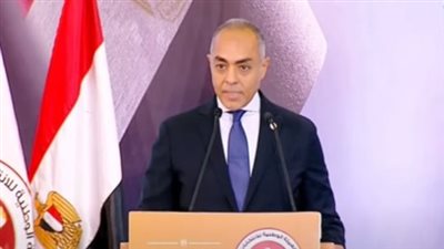 أحمد بنداري: إعادة الانتخابات واردة في 40 دائرة حال ثبوت المخالفات