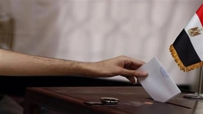 من يقف وراء تزوير الانتخابات في مصر؟