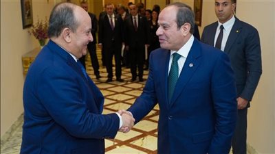 السيسي يستقبل الوزير الأول الجزائري.. ويؤكد مواصلة مصر جهودها لتنفيذ وقف الحرب بغزة