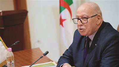 وزير الصناعة الجزائري: التكامل الاقتصادي بين الجزائر ومصر فرصة استراتيجية ينبغي استثمارها بذكاء