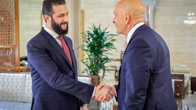 الشرع يبحث مع مبعوث ترامب إلى سوريا القضايا الراهنة في المنطقة