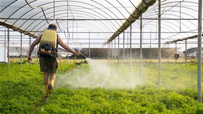 هذه الفواكه والخضروات تحتوي على بقايا مبيدات حشرية خطيرة