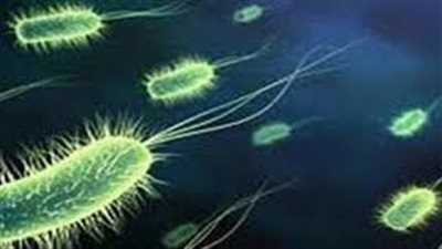 اكتشاف بكتيريا قادرة على التظاهر بالموت حتى فى بيئة معقمة.. اعرف التفاصيل