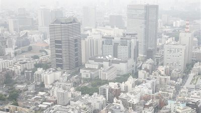 علماء: فيتامين С يحمي الرئتين من تلوث الهواء