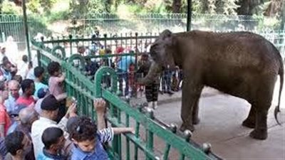 إنجاز 90% من ترميم المباني الأثرية بحديقة الحيوان تمهيداً لافتتاحها بمواصفات عالمية