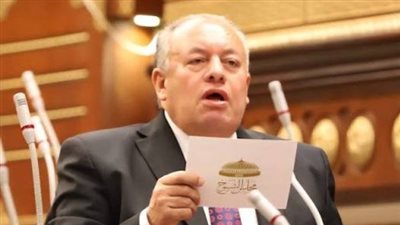 تأكيد للرؤية المصرية: أمين تشريعية الشيوخ يشيد بتصنيف فلوريدا للإخوان منظمة إرهابية