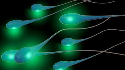 فضيحة طبية في أوروبا.. استخدام حيوانات منوية لمتبرع يحمل طفرة سرطانية لإنجاب نحو 200 طفل