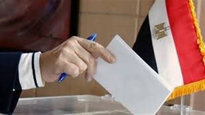  الإدارية العليا: تصعيد وليد شوقي بدلاً من إبراهيم الفضالي في دائرة طلخا بسبب خطأ في الأرقام