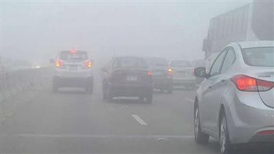 الأرصاد: أمطار خفيفة إلى متوسطة وشبورة مائية كثيفة تغطي الطرق غدًا