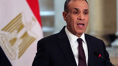 وزير الخارجية المصري يكذب إسرائيل.. ما القصة؟