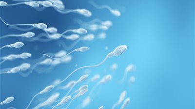 ابتكار صيني لعلاج العقم الذكري.. ما القصة؟