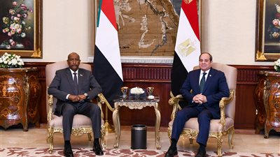 الرئيس السيسي يستقبل رئيس مجلس السيادة السوداني ويؤكد دعم مصر الكامل لوحدة السودان