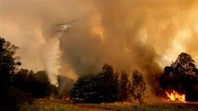 حرائق الغابات تلتهم آلاف الهكتارات بنيو ساوث ويلز الأسترالية