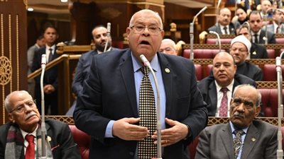 ناجي الشهابي يثير أزمة بجلسة الشيوخ: الناس قرفانة بعد موسم الانتخابات