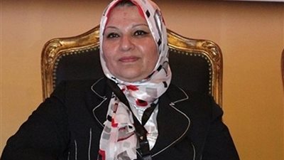 نائب وزير الكهرباء أمام الشيوخ: حجم خسائر الكهرباء 22 مليار جنيه بسبب السرقات