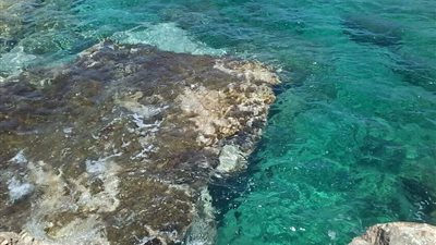 مصر تتسلم 3.5 مليار دولار ضمن صفقة 