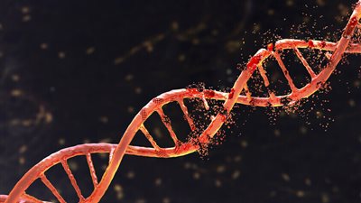 طريقة بسيطة تستغرق 10 دقائق فقط يوميا تبطئ سرطان الأمعاء