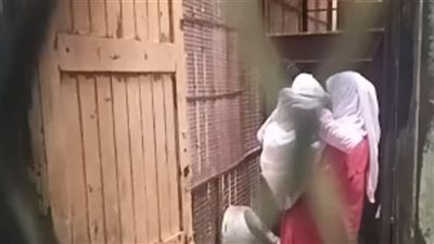 للمرة الثانية.. إحالة أوراق المتهمة بقتل زوجها وأطفاله الستة بدلجا بالمنيا للمفتي