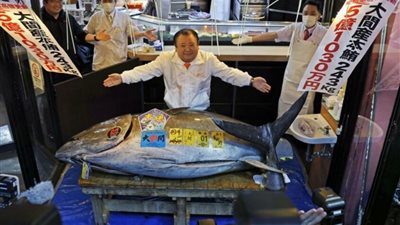 سعر قياسي.. تونة بـ3.25 مليون دولار في أول مزاد ياباني للعام الجديد