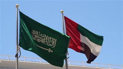 الإمارات تعلن المشاركة في تمرين 