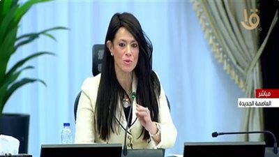وزير التخطيط تكشف سيناريوهات الإصلاح الاقتصادي حتى 2030