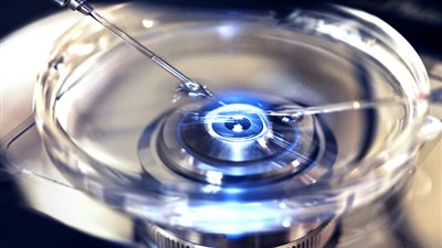 الحصن الواقي للحيوانات المنوية.. فيتامين أساسي يحمي الذكور