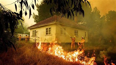 حرائق الغابات الأسترالية تتسبب بدمار هائل 