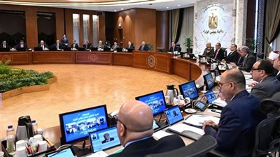 «مد خدمة 152 من أعضاء المهن الطبية» منها.. تفاصيل 8 قرارات حكومية جديدة اليوم