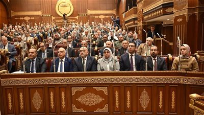 وزير الري يكشف أمام الشيوخ جهود الحكومة للحفاظ على المياه