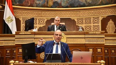 وزير الري يكشف أضرار السد الإثيوبي.. ويوضح حقيقة طلب تعويضات من أديس أبابا