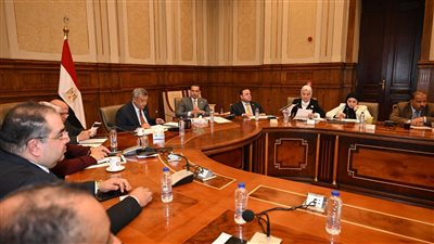 بحضور الوكيل محمد زكي.. لجنة الطاقة تناقش ملف توصيل الغاز بمدينة السرو