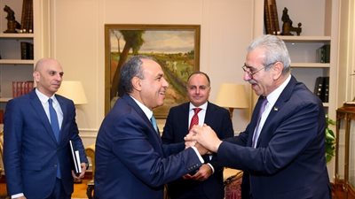 مصر تؤكد دعمها بقوة لـ 